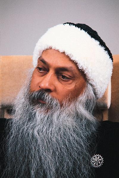 030_OFI.JPG