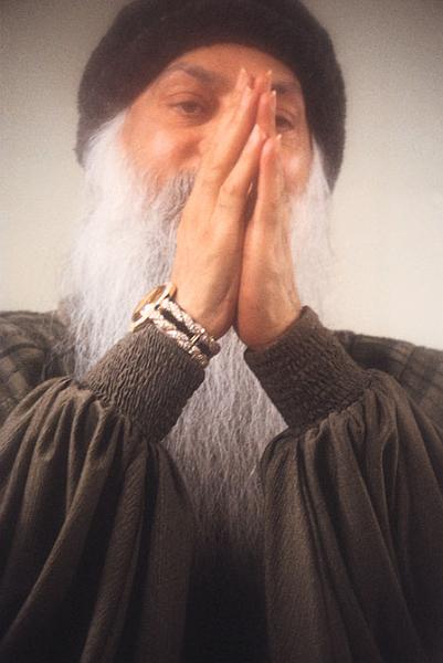 131_OFI.JPG