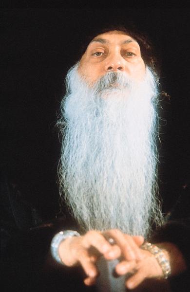 210_OFI.JPG