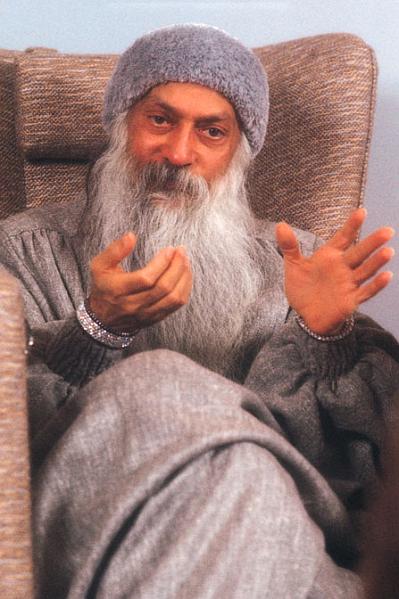 310_OFI.JPG