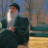 Why isn’t India acting, ask Osho followers